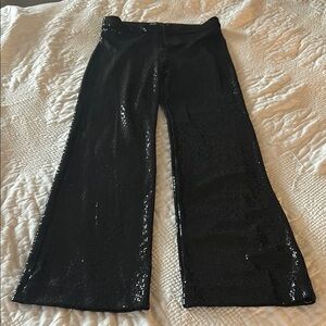 Zara Black fulll length Shimmery Pants size L